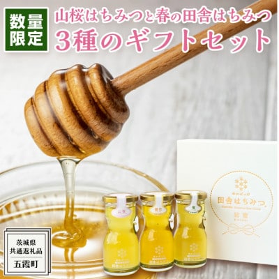 山桜はちみつと春の田舎はちみつの3種ギフトセット【R3山桜】【茨城県共通返礼品/五霞町】