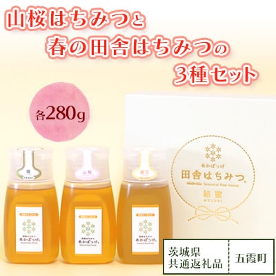 山桜はちみつと春の田舎はちみつの3種セット【B3山桜】【茨城県共通返礼品/五霞町】