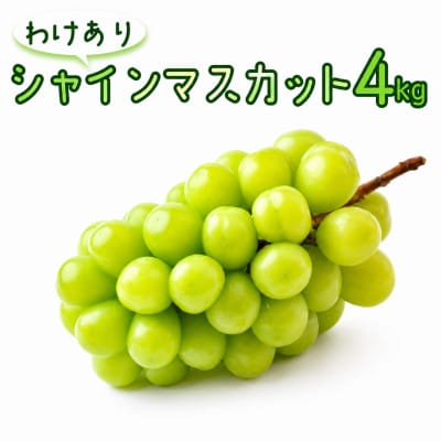 【 訳あり 】 シャインマスカット 4kg 【2026年8月発送開始】