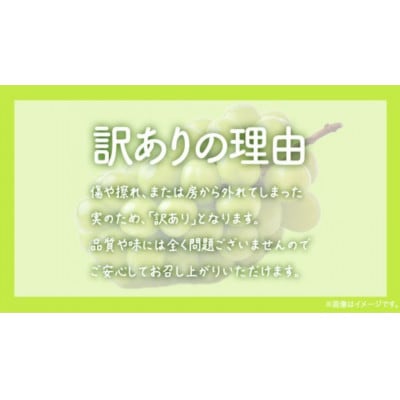 【 訳あり 】 シャインマスカット 4kg 【2026年8月発送開始】
