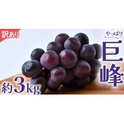 【 訳あり 】 巨峰 3kg 【2026年9月発送開始】