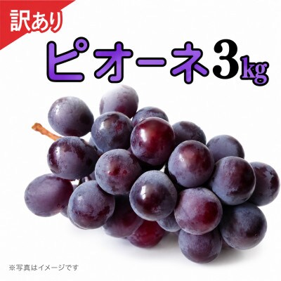 【 訳あり 】 ピオーネ 3kg 【2026年9月発送開始】