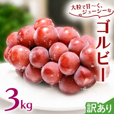 【 訳あり 】 ゴルビー 3kg 【2026年8月中旬発送開始】