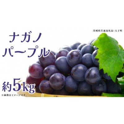ナガノパープル 約5kg (7～9房)【2026年9月上旬発送開始】