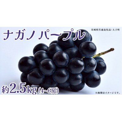 ナガノパープル 約2.5kg (4～6房)【2026年8月下旬発送開始】