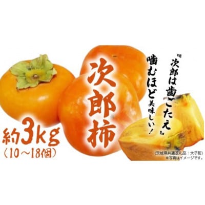 次郎柿 3kg 【2026年9月上旬発送開始】