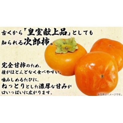 次郎柿 3kg 【2026年9月上旬発送開始】