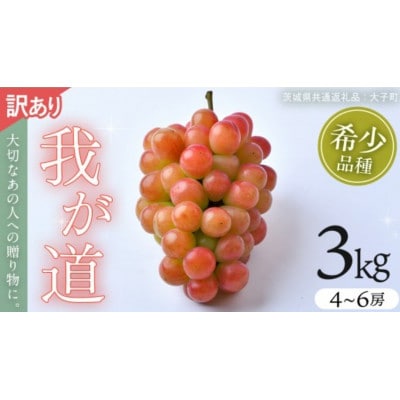 【訳あり】 我が道 3kg 【2026年9月発送開始】