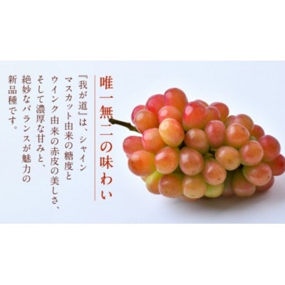 【訳あり】 我が道 3kg 【2026年9月発送開始】