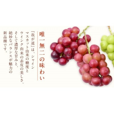 我が道 5kg (7～9房) 【2026年9月上旬発送開始】