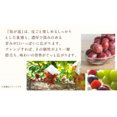 我が道 5kg (7～9房) 【2026年9月上旬発送開始】
