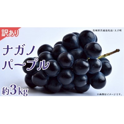 【訳あり】ナガノパープル 3kg 【2026年9月上旬発送開始】