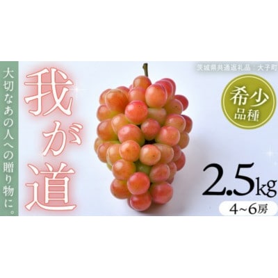 我が道 2.5kg (4～6房)【2026年8月下旬発送開始】
