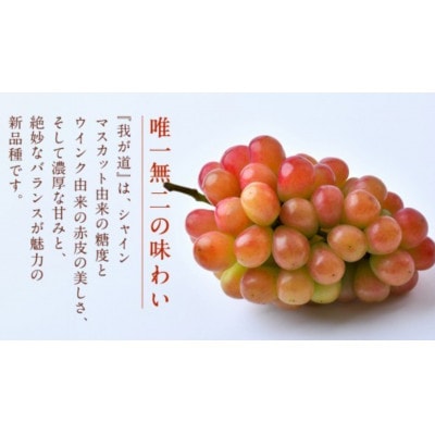 我が道 2.5kg (4～6房)【2026年8月下旬発送開始】