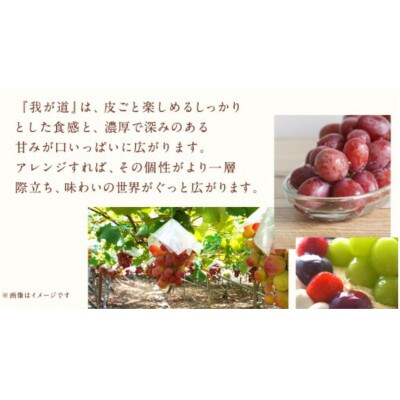 我が道 2.5kg (4～6房)【2026年8月下旬発送開始】