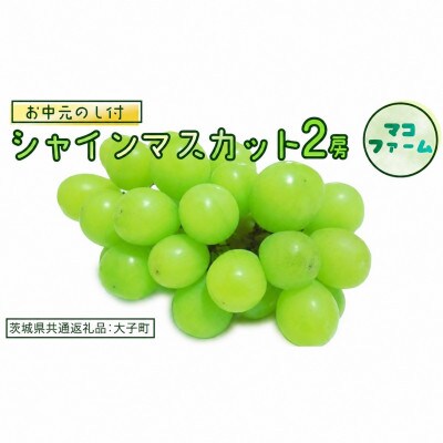 【 お中元 熨斗付き】 シャインマスカット 2房 【2026年7月上旬発送開始】