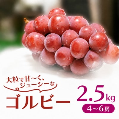 ゴルビー 2.5kg (4～6房)【2026年8月下旬発送開始】