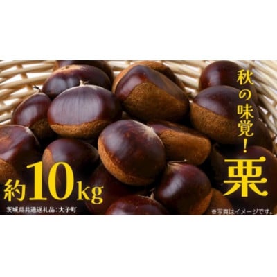 栗 10kg 【2026年9月上旬発送開始】
