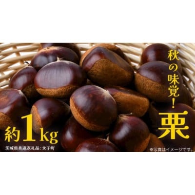 栗 1kg 【2026年9月上旬発送開始】