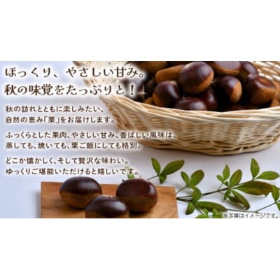栗 1kg 【2026年9月上旬発送開始】