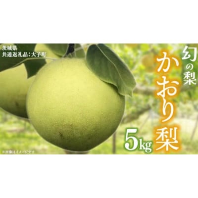 かおり 梨 5kg