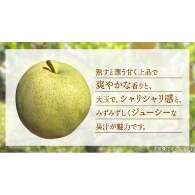 かおり 梨 5kg