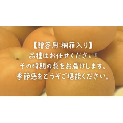 【桐箱入り】梨 約3kg (6～8玉) 【2026年8月上旬発送開始】