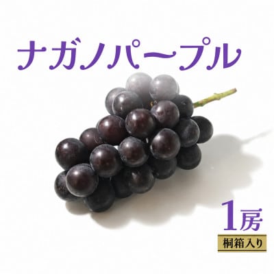【桐箱入り】 ナガノパープル 1房 【2026年8月上旬発送開始】