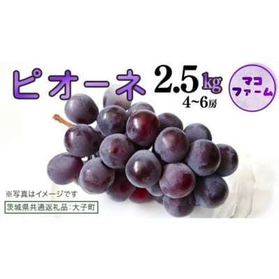ピオーネ 2.5kg (4～6房)【2026年8月下旬発送開始】