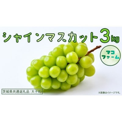 シャインマスカット 3kg