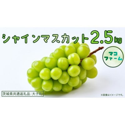 シャインマスカット 2.5kg 【2026年8月下旬発送開始】