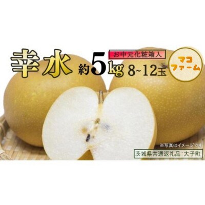 【 お中元 化粧箱入り】 幸水 約5kg (8～12玉)【2026年8月上旬発送開始】