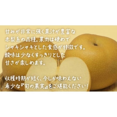 【 お中元 化粧箱入り】 幸水 約5kg (8～12玉)【2026年8月上旬発送開始】
