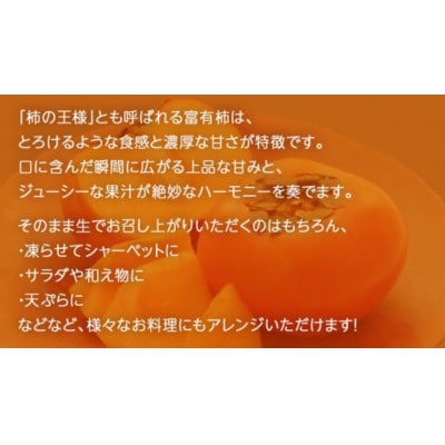 富有柿 約10kg (36～42玉)【2026年11月上旬発送開始】