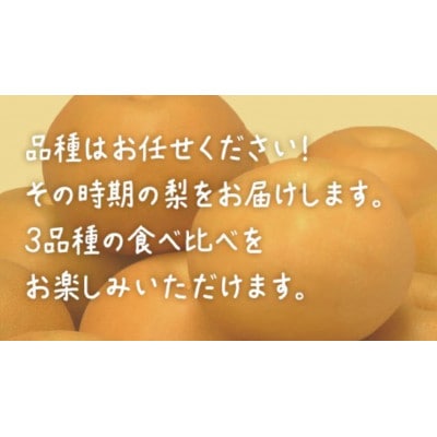 【食べ比べ】 梨 3品種 合計 約7kg