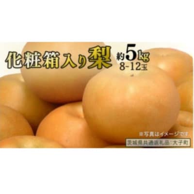 【化粧箱入り】梨 約5kg (8～12玉)