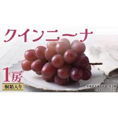 【桐箱入り】 クインニーナ1房