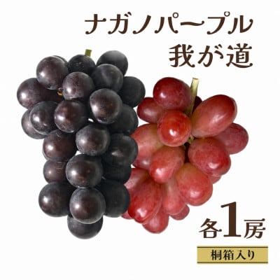 【桐箱入り】 ナガノパープルと我が道 (各1房)