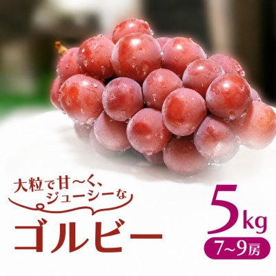 ゴルビー 5kg (7～9房)