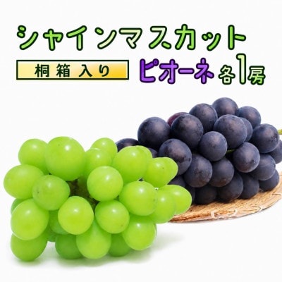 【桐箱入り】 シャインマスカット & ピオーネ (各1房)