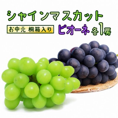 【 お中元 桐箱入り 】 シャインマスカット & ピオーネ (各1房)