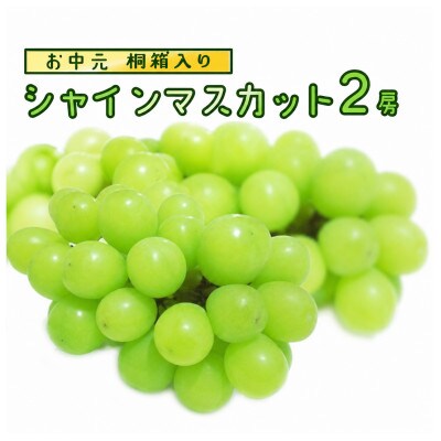 【 お中元 桐箱入り】 シャインマスカット 2房