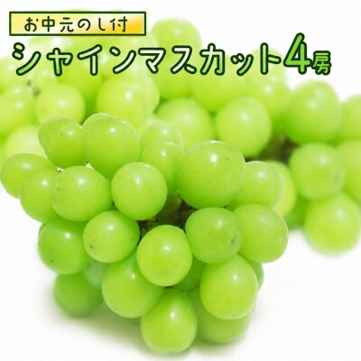 【 お中元 熨斗付き】 シャインマスカット 4房