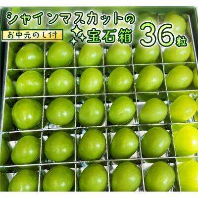 【のし付き】【お中元】『 シャインマスカット の宝石箱 (36粒) 』