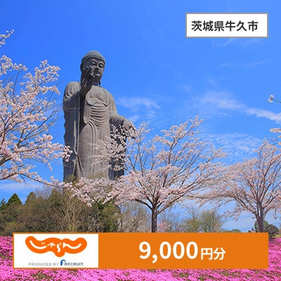 【じゃらんふるさと納税クーポン】 茨城県牛久市でつかえる9,000円 クーポン