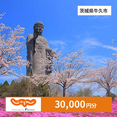 【じゃらんふるさと納税クーポン】 茨城県牛久市でつかえる30,000円 クーポン