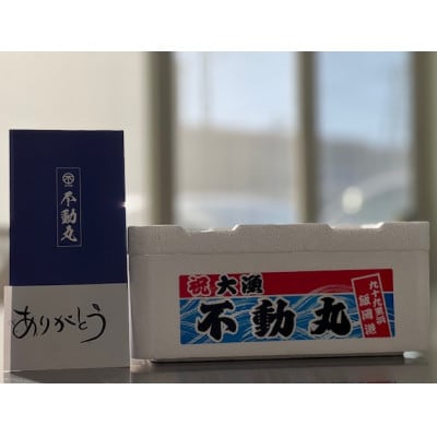 ≪千葉ブランド水産物認定品≫　　　　　　九十九里産活けはまぐり約6.4kg/68～88個