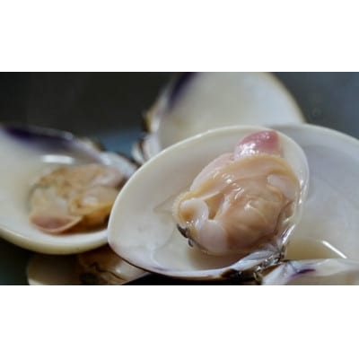 レンジでチン!九十九里産酒蒸し蛤(冷凍)　　175～200g/3個入り×8袋