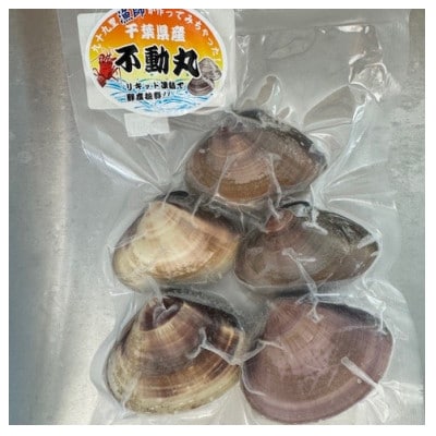 瞬間冷凍 大サイズ九十九里産地はまぐり 1kg