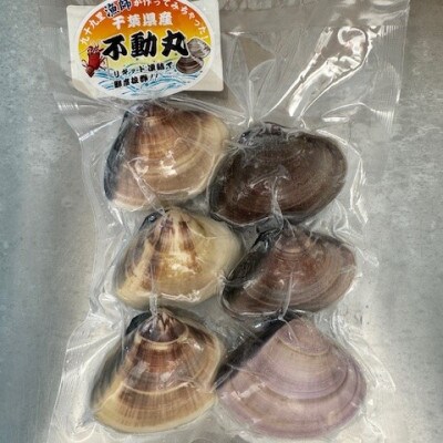 瞬間冷凍 大サイズ九十九里産地はまぐり 5kg